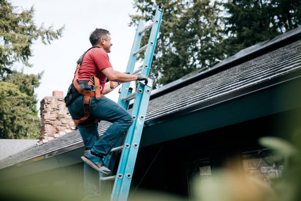 Best Roof Insulation Installation  in Waipio Acres, HI